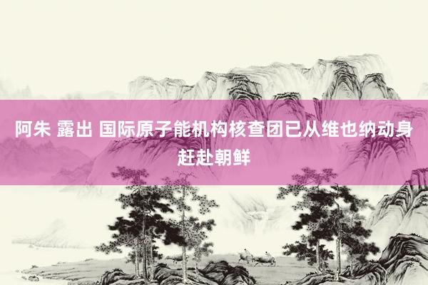 阿朱 露出 国际原子能机构核查团已从维也纳动身赶赴朝鲜