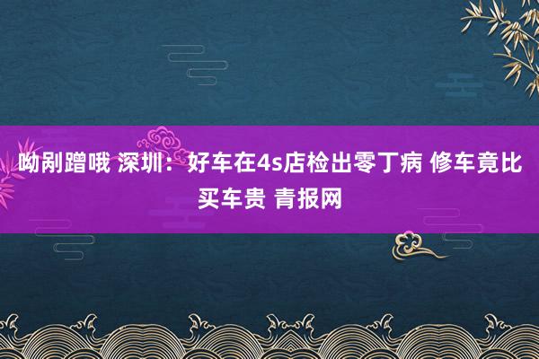 呦剐蹭哦 深圳：好车在4s店检出零丁病 修车竟比买车贵 青报网