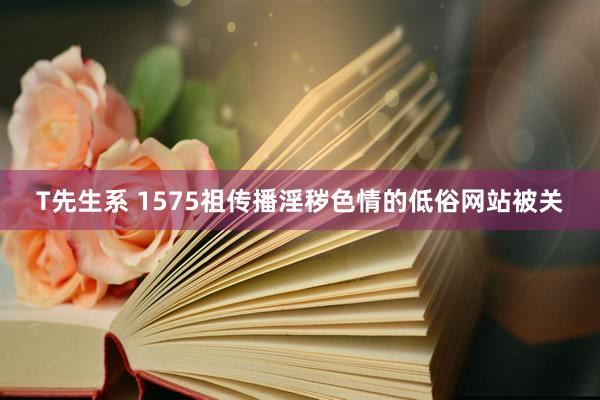 T先生系 1575祖传播淫秽色情的低俗网站被关