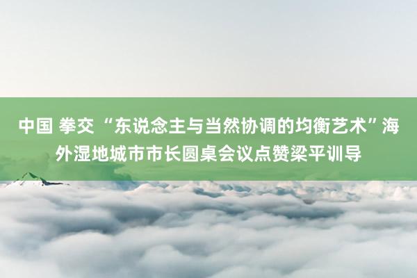 中国 拳交 “东说念主与当然协调的均衡艺术”海外湿地城市市长圆桌会议点赞梁平训导