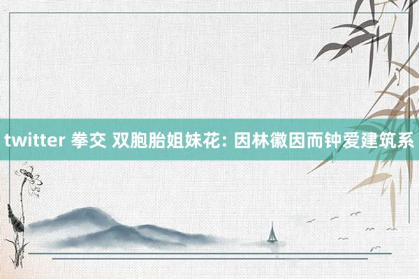 twitter 拳交 双胞胎姐妹花: 因林徽因而钟爱建筑系