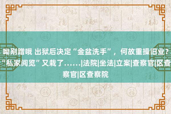 呦剐蹭哦 出狱后决定“金盆洗手”，何故重操旧业？这个“私家阅览”又栽了……|法院|坐法|立案|查察官|区查察院