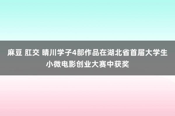 麻豆 肛交 晴川学子4部作品在湖北省首届大学生小微电影创业大赛中获奖