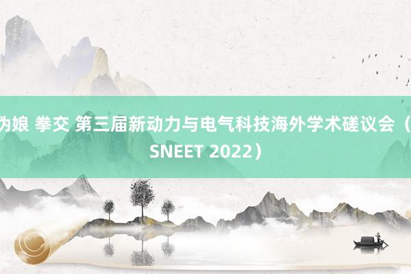 伪娘 拳交 第三届新动力与电气科技海外学术磋议会（ISNEET 2022）