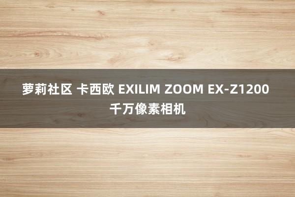 萝莉社区 卡西欧 EXILIM ZOOM EX-Z1200 千万像素相机