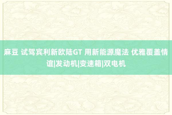 麻豆 试驾宾利新欧陆GT 用新能源魔法 优雅覆盖情谊|发动机|变速箱|双电机