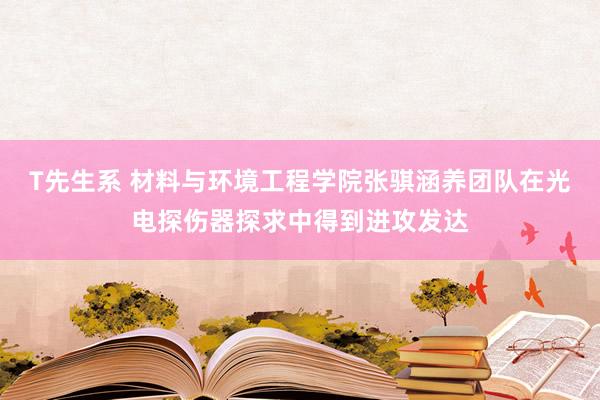 T先生系 材料与环境工程学院张骐涵养团队在光电探伤器探求中得到进攻发达