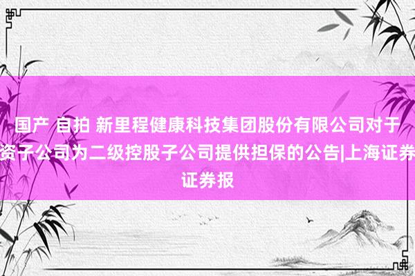 国产 自拍 新里程健康科技集团股份有限公司对于全资子公司为二级控股子公司提供担保的公告|上海证券报